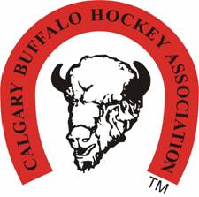 CBHA Logo CBHA Logo